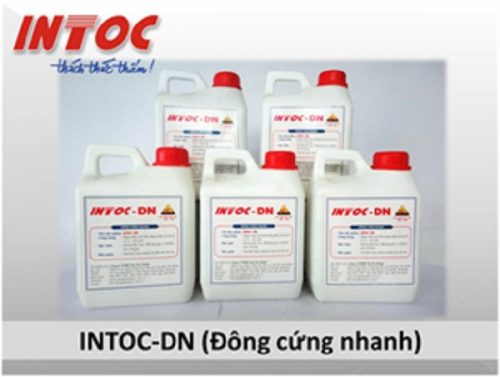 CHỐNG THẤM INTOC-DN